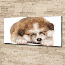 Tulup Image Sur Verre Trempé Tableaux 125x50 - Chiot Akita