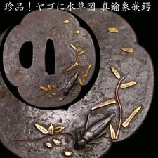 Symphe libellule incrustée