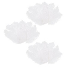 30 Pièces Plume D'Autruche