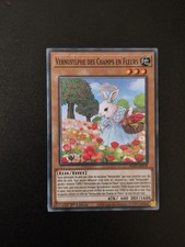 Yu-Gi-Oh! Vernusylphe des Champs en Fleurs : C POTE-FR018
