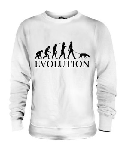 Allemand pinscher évolution - pinscher,