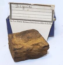 Lignite , Charbon Naturel Brun - Deyrolle-  mineraux collection historique rare