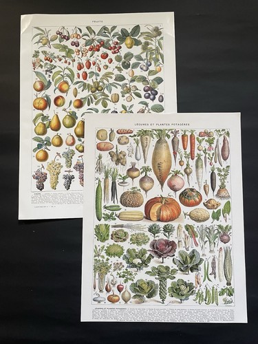 Planches originales ancienne - 2,