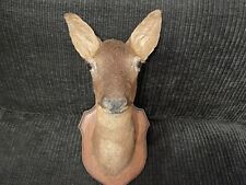 Tête de biche décorative