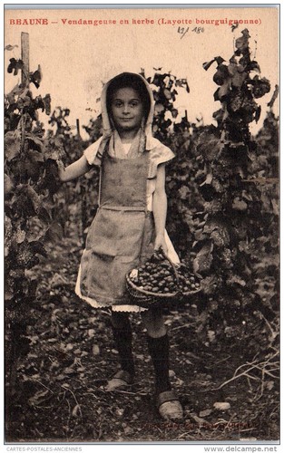 Beaune une vendangeuse - beaune, en