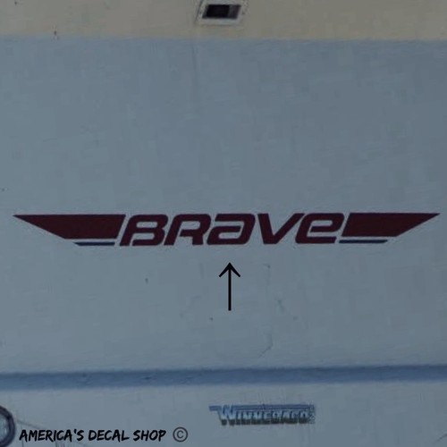 Winnebago brave rear graphic - winnebago,