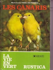 Oiseaux ! Les canaris 