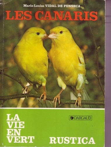 Oiseaux les canaris - oiseaux,