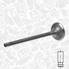 Soupape de Vidange Citroën