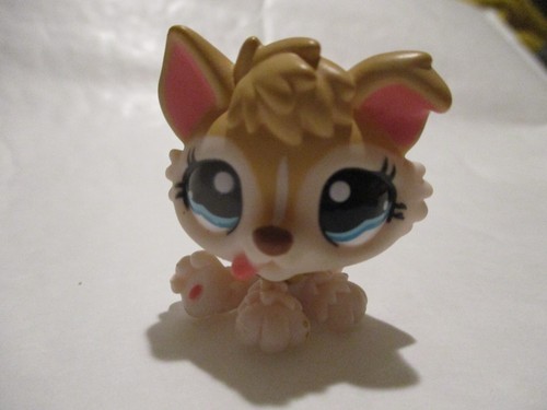 Petshop chiot husky - petshop, n°1013