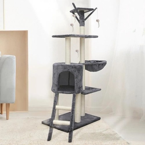 Arbre chat gris x - x, 34