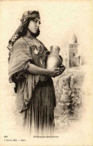 Cpa algeria geiser - cpa, 248