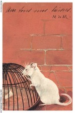 ASHP11-0718-ANIMAUX - UNE SOURIS BLANCHE PRES D'UNE CAGE