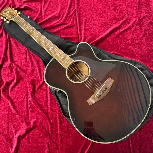 Guitare acoustique électrique