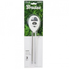 Ovale Traditionnel Analogique