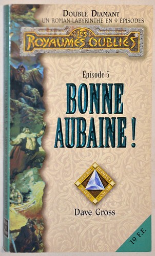 Royaumes oublies double - oublies,
