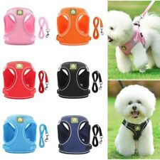 PET Harnais Et Ensemble De Feuilles Pour Chien De Petite Et Moyenne Taille Chat
