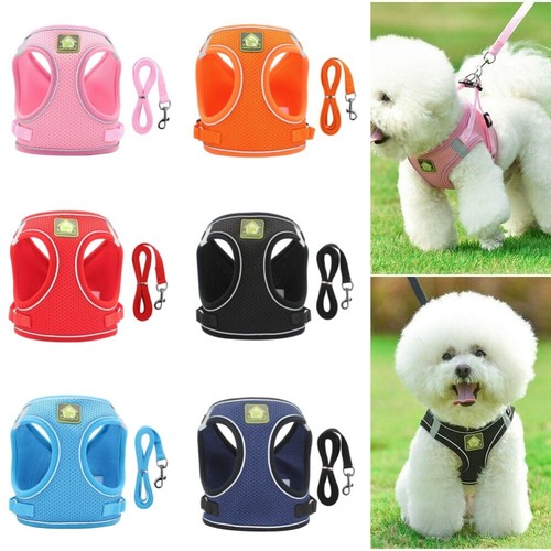 Pet harnais ensemble - pet,