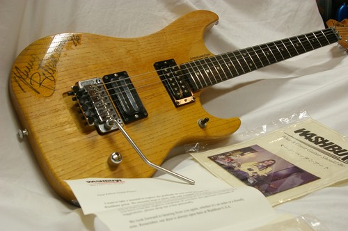 Washburn n4e sanm electric - washburn,