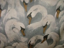 Majestic Cygnes Ciel Extra