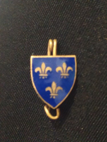 Politique insigne du - insigne,
