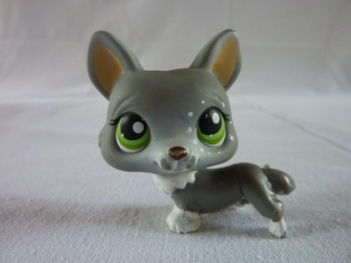 Petshop lps littlest - littlest,