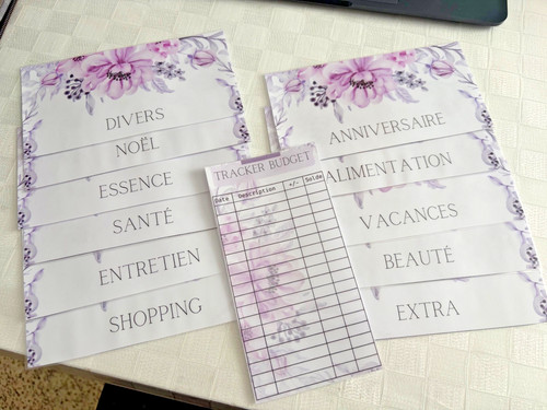 Fiches budget classeur - budget, ,