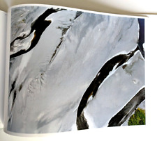 Surficial Survey  Taiji Matsue