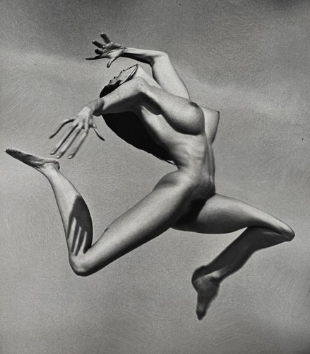Andre dienes photo nue - dienes,