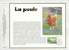 * feuillet CEF   nature faune   la poule  01 Bourg en Bresse   2004
