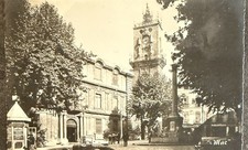 🦬 Carte Postale - Postcard