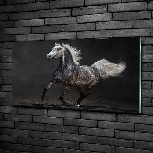 Tulup tableau sur verre - tableau,