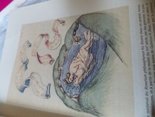 Immage cabalistique et