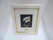 Rare ORCHIDÉE japonaise en