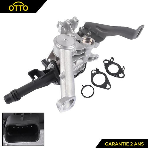 Vanne egr pour - pour, c3