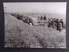 Photo ancienne BRAUD moissonneuse batteuse A2080 tractor tracteur Traktor 4