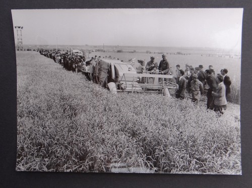 Photo ancienne braud - photo,