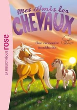 Mes amis les chevaux, tome 6 