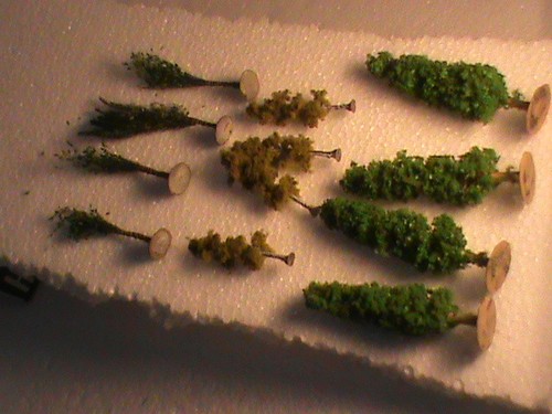 Lot petits arbres droit ho - 12,