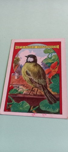 Chromo mesange charbonnière - mesange,