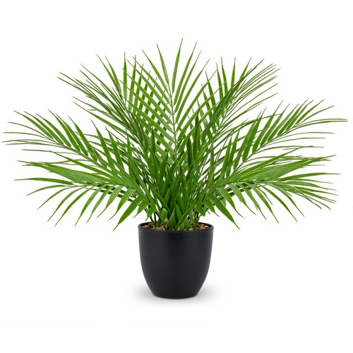 Plantes artificielles