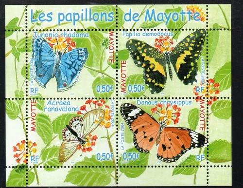 Photo contractuelle timbre - photo,