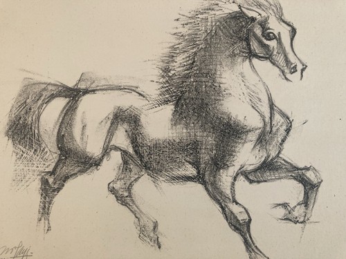 Gravure lithographie cheval - gravure,