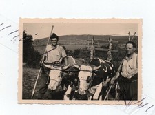 A1127 Photo Originale