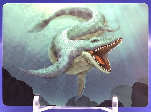 Cartes mosasaurus dinosaures - cartes, /