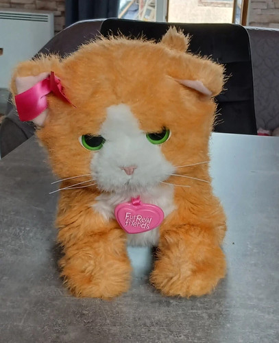 Peluche interactive chat - peluche,