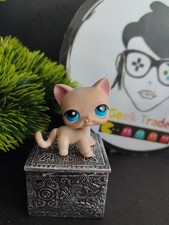 Littlest Petshop Pet Shop LPS Authentic  Authentique cat Shorthair European 228