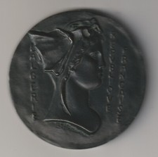 Rare médaille, GOUVERNEMENT GENERAL de  L'ALGERIE - en Bronze Patiné foncé