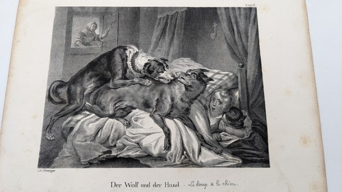 Lithographie loup et le - :,