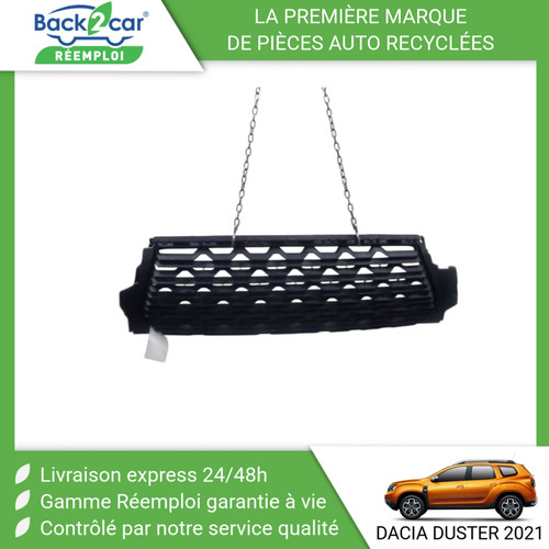 Grille pare choc avant - grille, pare-choc